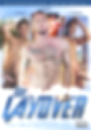 THE LAYOVER