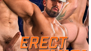 ERECT THIS !