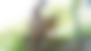 Niqué par le bogosse du coin